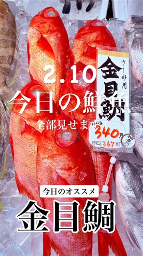 魚屋シュン on Instagram: "今日のオススメは、金目鯛、キンキ、太刀魚、赤貝、天然ホタテ、スズキです。 今日は贅沢に金目鯛やキンキはいかがでしょうか！ 金目鯛は、ふっくら柔らかな身に、上品でコクのある脂がとにかく旨い。 煮付けやお刺身、しゃぶしゃぶなどなど、どんな料理でも金目鯛の風味が引き立ち、贅沢な逸品になります。 キンキはとろけるような脂が段違い。 身も柔らかく、旨みがギュッと詰まっています。 煮付け、塩焼き、お刺身、一夜干し、どんな料理で味わうか迷っちゃいますねぇ。 太刀魚は、かな〜り食べ応えのあるサイズ感！！ 塩焼きやムニエル、お刺身やお寿司、一本だけで何種類の料理も楽しめちゃいそう。 是非この機会に。 #魚屋旬 #魚屋シュン #魚屋 #魚市場シュン #魚市場旬"