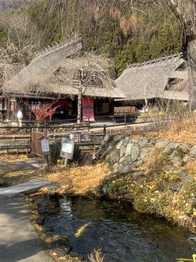 西野 実見 Mami Nishino on Instagram: ". 12月こんにちはꪔ̤̮ ꪔ̤̥ 🍂☀️ あっという間に年が明けそうな予感がする、、！ 撮りためた写真たちがお蔵入りとならないように 少しずつ投稿していきます ˚ʚ★ɞ˚"