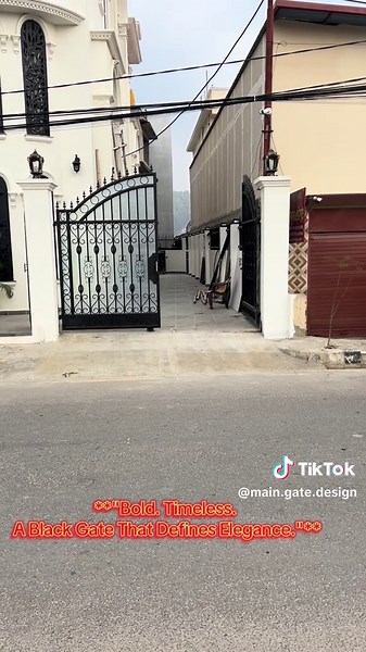 Elegant Black Gate: A Statement of Timeless Design