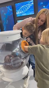 86K views · 274 reactions | Vive Jurassic World: The Exhibition estas vacaciones con ¡TODA LA FAMILIA! 練  Encuentra a tus dinosaurios favoritos en el Centro Comercial Perisur. #JWExhibition #DinosInCDMX 秊 ️ Boletos en Ticketmaster | Escenario OCESA | Facebook