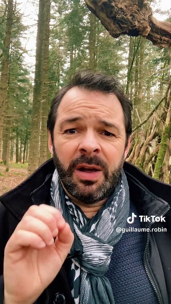 Top Astuces pour Débutants à l'Harmonica