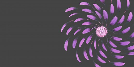 Swiss Re’ s Magnum: An automated underwriting platform | Swiss Re