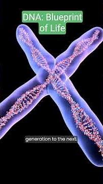 DNA Double Helix & Mutations Explained: Grade 9 Biology Guide