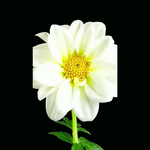 cikaro ciaku Ngai (Kikuyu catholic hymns) mitha mugikuyu