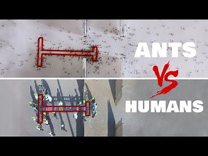Ants vs Humans - T Shape Problem Solving Test