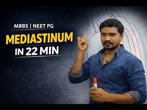 Mediastinum Made Easy | Anatomy Simplified | Divisions & Contents Explained Clearly. MBBS NEET PG