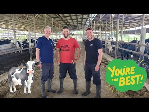 Experience Innovative Israeli Dairy Farming in Action!