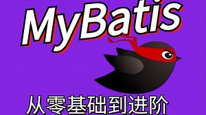 【MyBatis视频零基础入门到进阶】全套视频教程源码级深入详解
