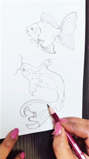 Easy Fish Drawing for Beginners 🐟 | Step-by-Step Pencil Sketch