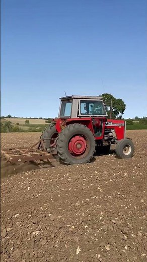 Massey Ferguson 590 cultivating 💪💪💪 #tractor #masseyferguson #farming