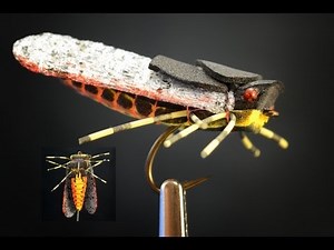 The Sickada -- Foam Cicada Fly Pattern by Curtis Fry