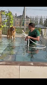 19K views · 697 reactions | Maomao pranks the old man | DOG LOVER | Facebook