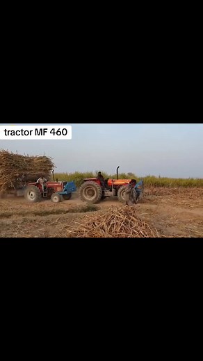 tractor MF 460