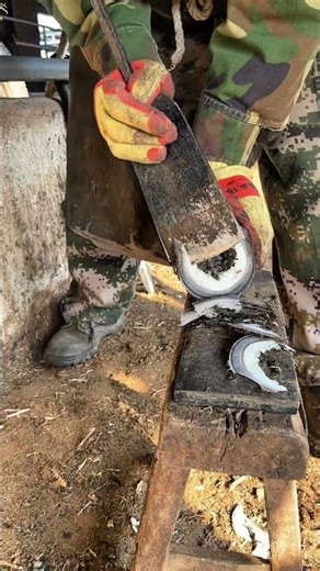 Animal care, donkey hoof trimming, clean and efficient technique, relaxing to watch.