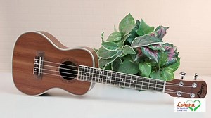 Lohanu Ukulele – The Leading Brand for Ukuleles