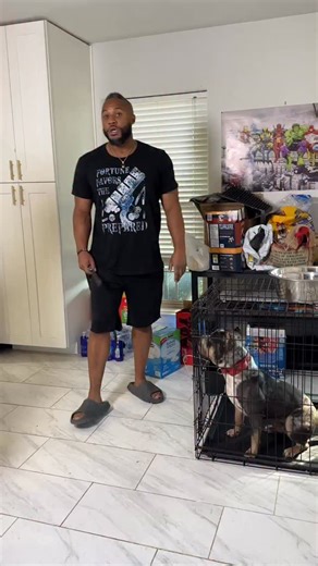 Worldpethealth | @ironsharpk9 crate 101 | Instagram