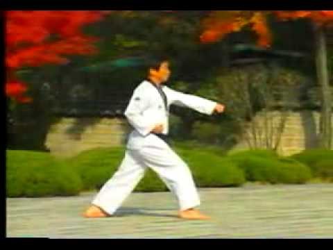 3. Taekwondo Poomsae Taegeuk Sam Jang (WTF)