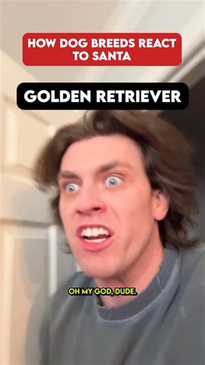 Jonny Devaney on Instagram: "Dog Breeds VS Santa MERRY CHRISTMAS"