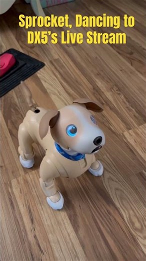 Dancing to DX5 Livestream ‪@DX5‬ #aibo #synthpop #dancing #robotics