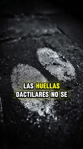 Tus huellas dactilares son únicas en el mundo. No hay otra persona —ni siquiera un gemelo— que tenga las mismas 🤯 Un pequeño detalle en tu cuerpo con una identidad irrepetible. #Doctips #Curiosidades #huellasdactilares #cienciafacil #aprendiendo