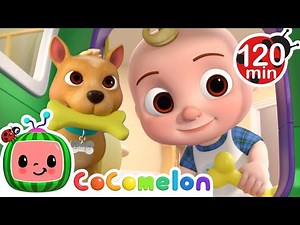 Learning How To Take Care of Doggies! | Animal Cartoons | Funny Cartoons | Learn about Animals