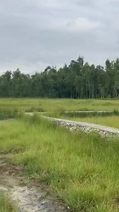 36K views · 1.3K reactions | صرف 50 ہزار میں مرلہ پہلے انتقال قبڞہ پھر ادائیگی 03709291683 03198488099 | Ijaz Khalid property online sales | Facebook