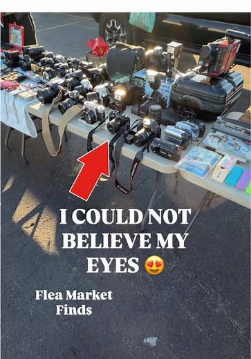 Incredible Flea Market Camera Finds! 📸