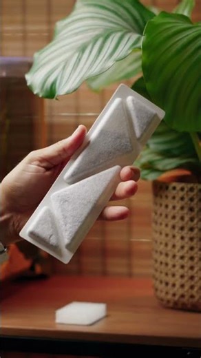 El hogar ideal para tu betta, sin complicaciones ✅
