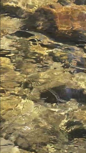 528 Hz Binaural Meditation | Healing Water Calm