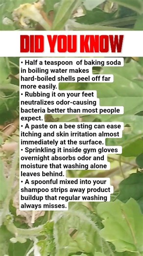 surprising baking soda tricks that can make everyday life easier.