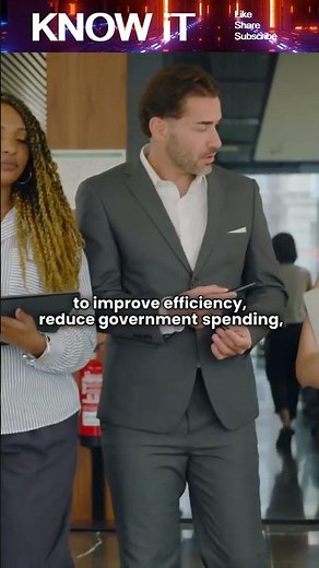 What is Privatization?