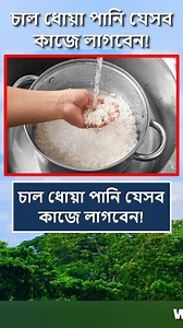 1.8M views · 10K reactions | চাল ধোয়া পানি যেসব কাজে লাগবেন  #reelsfb #foryoupage #tips #food #viralreels #reelsvideo #reelsviral #Reels #fyp #trendingreels | World Data Knowledge | Facebook