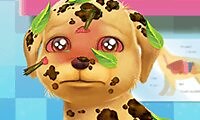 Soins canins - Un jeu de filles gratuit sur GirlsGoGames.fr