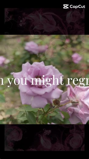 蜂ヶ峯総合公園 薔薇🌹を見てきました #蜂ヶ峯総合公園 #薔薇 #花 #flowers #山口県