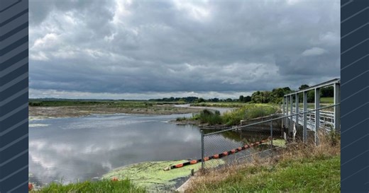 DNR to reduce water levels at Theresa Marsh Wildlife Area