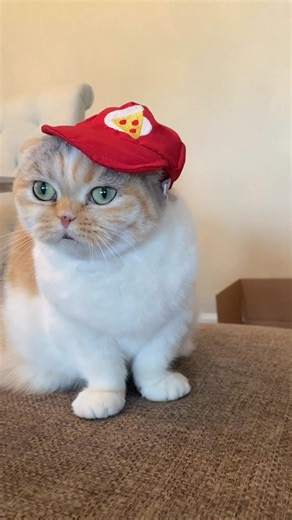 What’s your favorite pizza topping? | Hello_Luna_Rose