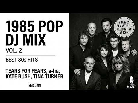 1985 Sunday Morning Groove Vol.2🎧 | Best 80s Pop Hits DJMIX | Tears for Fears,Tina Turner | Setsukin