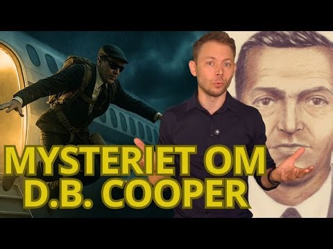 Manden Der Kaprede Et Fly og Stak Af Med En Formue