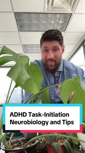 Understanding ADHD Task Initiation Challenges