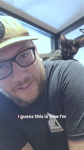 Pennzoil the Kitten Climbs His Way Into Our Hearts