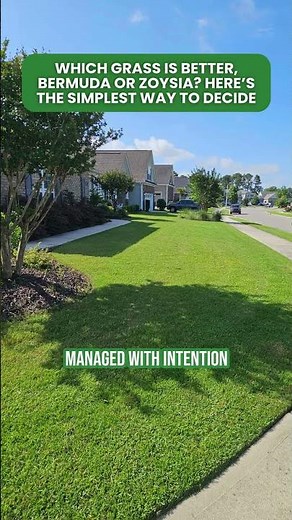 Which grass is better, Bermuda or Zoysia? Here’s the simplest way to decide