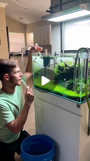 Planted Aqua Labs | Repost • @aquahusk Stop using your mouth to start the suction. Insert the tube below the water, go up then back down #aquascape #aquarium... | Instagram