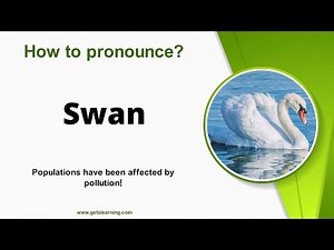 How to pronounce Swan in English correctly