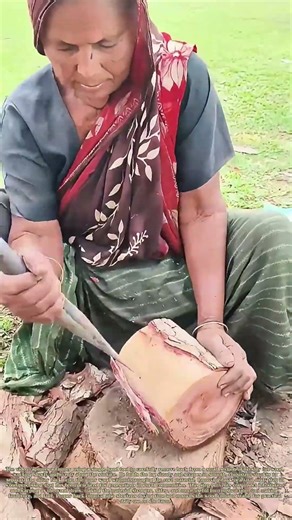 Stripping Wood Bark: How Simple Hand Preparation Preserves Timber for Long-Term Use