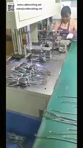 Independent Wire Winding Tying & Bundling Machine Customizable Packaging Processing Tool
