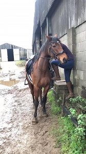 17M views · 36K reactions | Mounting issues - Baloo day 2 If you’re...