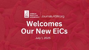 🚨 Exciting news! 🚨 Meet the new Editors-in-Chief for ASM Journals, taking the helm on July 1! 🎉 🔬 Journal of Clinical Microbiology® – Romney Humphries, Ph.D., D(ABMM) 🔬 mBio® – Marvin Whiteley, Ph.D. 🔬 mSystems® – Ashley Shade, Ph.D. 🔬 mSphere® – Ira Blader, Ph.D. These distinguished leaders bring expertise and vision to guide ASM Journals into the future, building on the strong foundation set by their predecessors. 📢 Read the full press release to learn more about their backgrounds and 