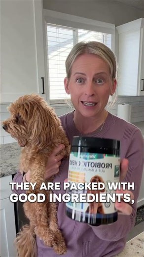 Adding Probiotics to My Dog’s Daily Routine (Gut & Immune Support)