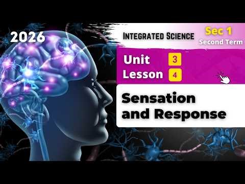 Sec.1 | Sensation and Response | Unit 3 - Lesson 4 | Integrated Sciences