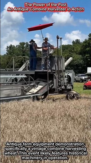 The Power of the Past | An Antique Combine Harvester in Action